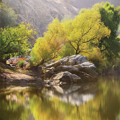 
Calm water and sunlit foliage inspired Badger's "Kern River Gorge," taken in Sequoia National Forest, California. 
